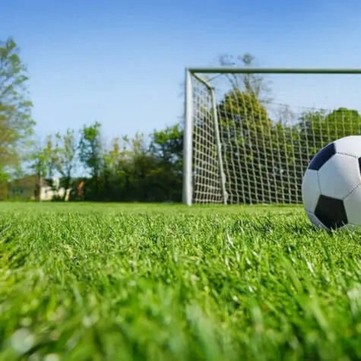 Carrito de mano esparcidor de fertilizantes, enmiendas y sal. - Vetonek