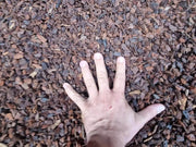 Corteza para Terrarios Reptiles Vio Habit - Vetonek