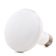 Bombilla LED E27 12W 1.000Lm 6000ºK R80 — Vetonek