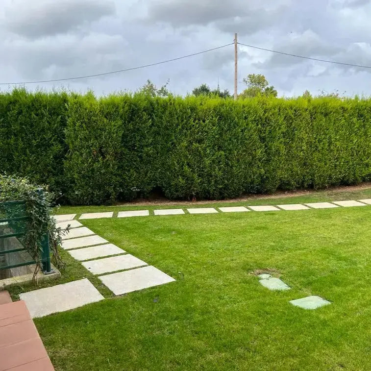 Losa Cuadrada 75x75 cm Vetonek