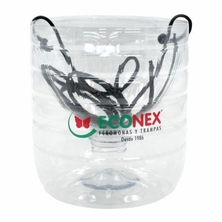 Econex disposable trap for cerambyx spp.