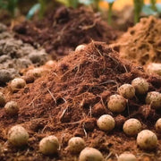 Sustrato Hidropónico | 60% Fibra Coco y 40% Arcilla expandida Vetonek