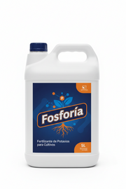 Fosforia — Fósforo y potasio para raíz y cuajado