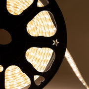 Tira de 120 LEDs/M 500W 1.000Lm 6000ºK SMD5050 220VAC IP65 x50M — Vetonek (8)