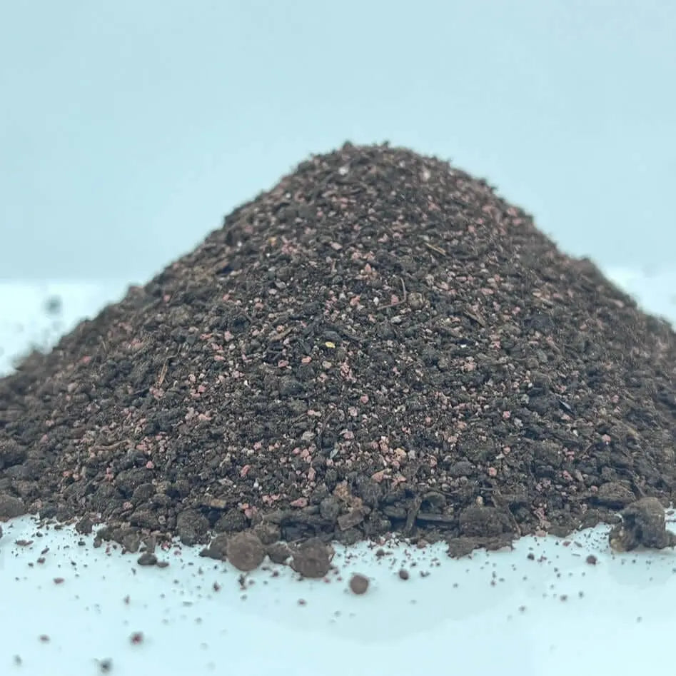 Eco VulcanMush Compost Champiñón y Lava Volcánica - Vetonek