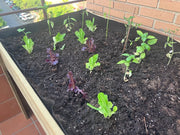 Mesa de Cultivo 160x80cm. 220L - Vetonek