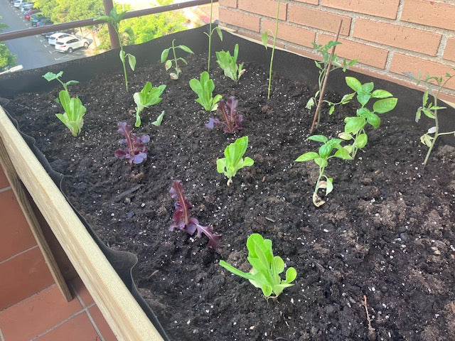 Mesa de Cultivo 160x80cm. 220L - Vetonek