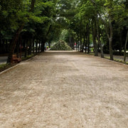 Stabex, conglomerante estabilizador suelos - Vetonek