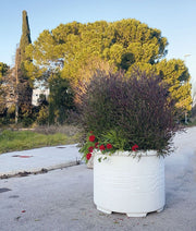 Macetero Daroca con árbol plantado