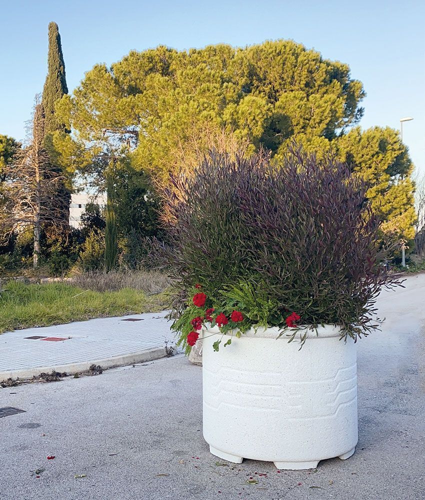 Macetero Daroca con árbol plantado