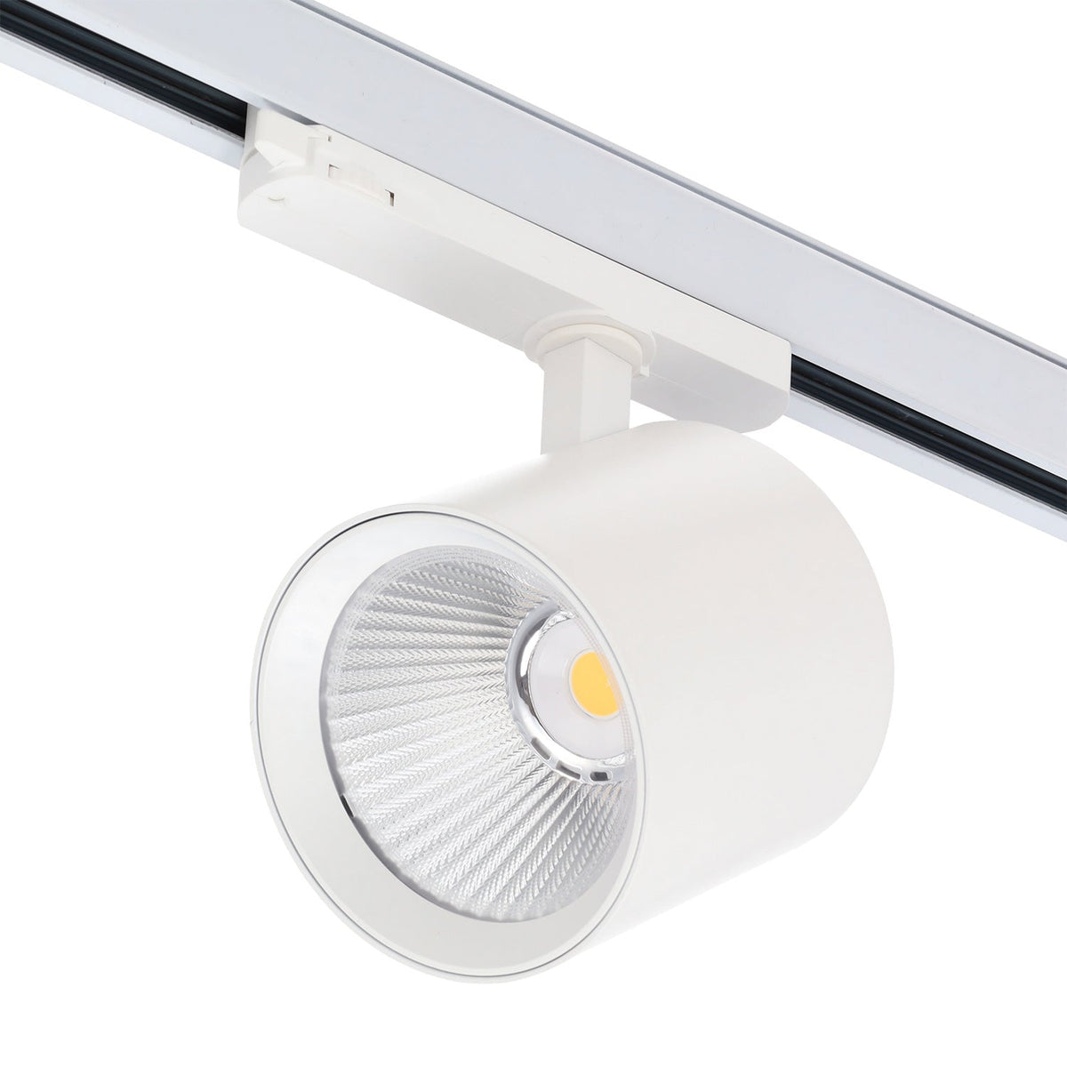 Proyector LED para carril trifásico 40W Carnicerías Driver Lifud Flicker Free Blanco — Vetonek