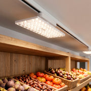 Foco Led Para Carril Market Blanco 30W CCT — Vetonek