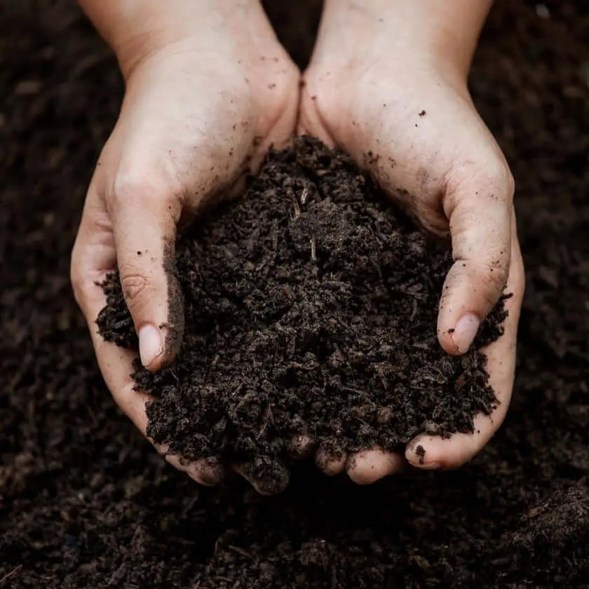 Compost Champiñon Envejecido - Vetonek