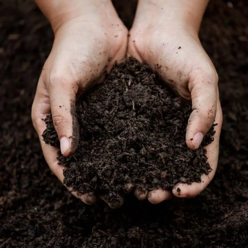 Bio Terra Mix | Compost Eco Completo - Vetonek