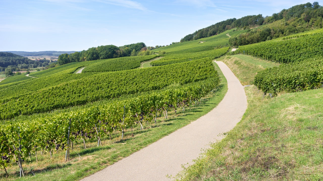 NaturaStable, estabilizador suelos - Vetonek