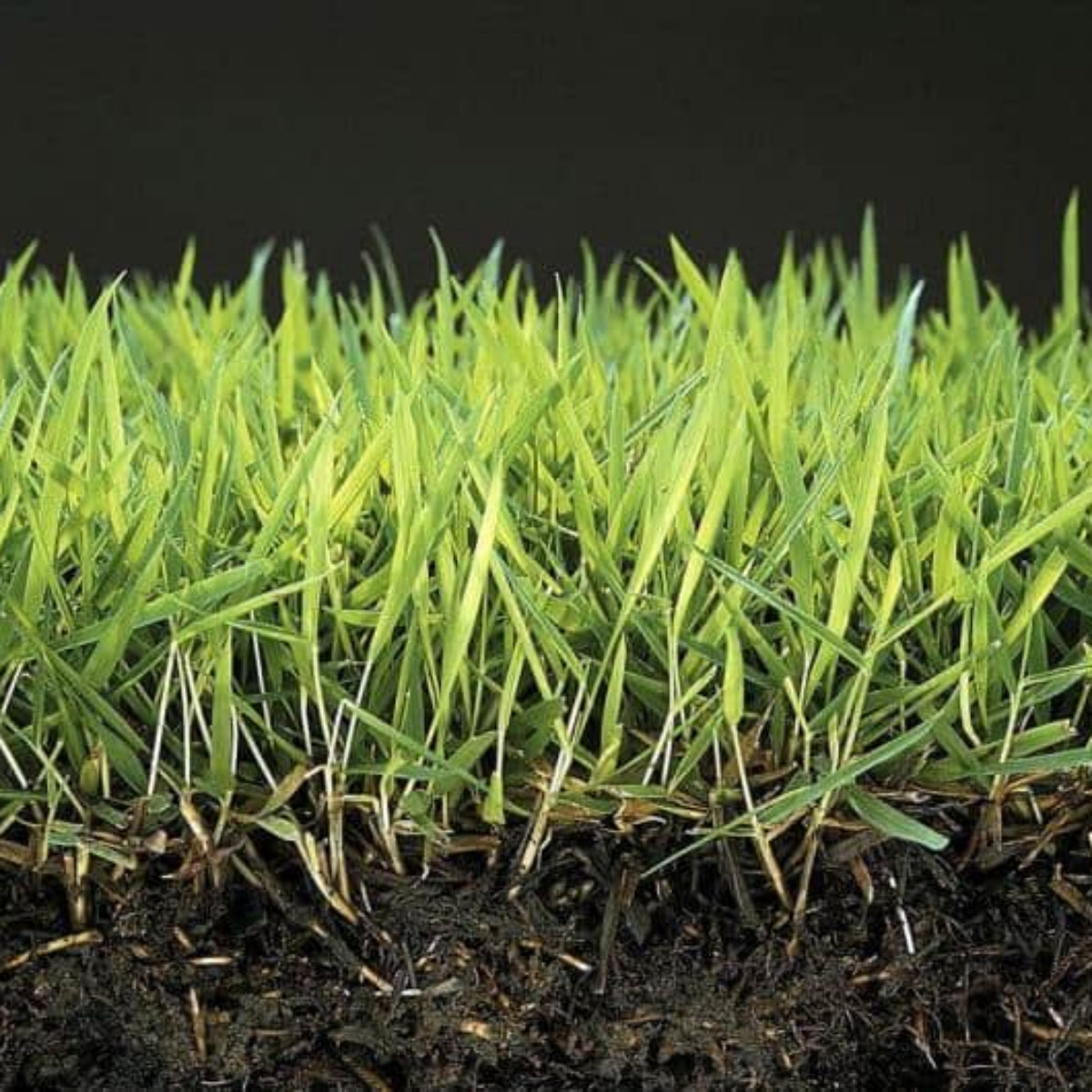 Anti musgo y reverdecedor de césped natural Mineravi Vetonek