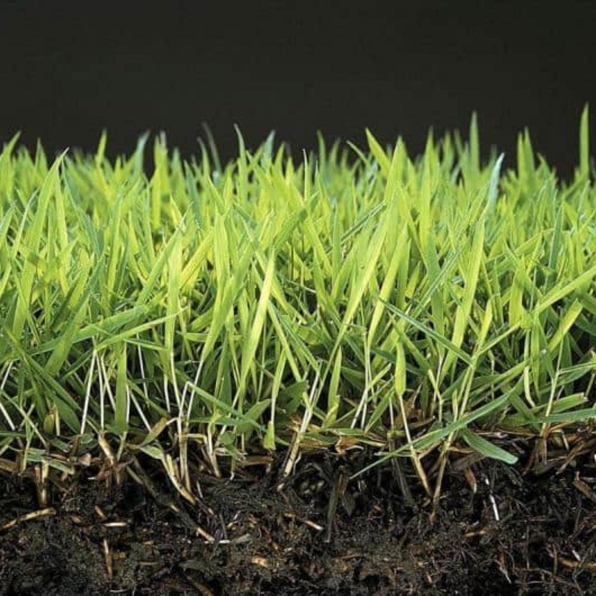 Anti musgo y reverdecedor de césped natural Mineravi Vetonek