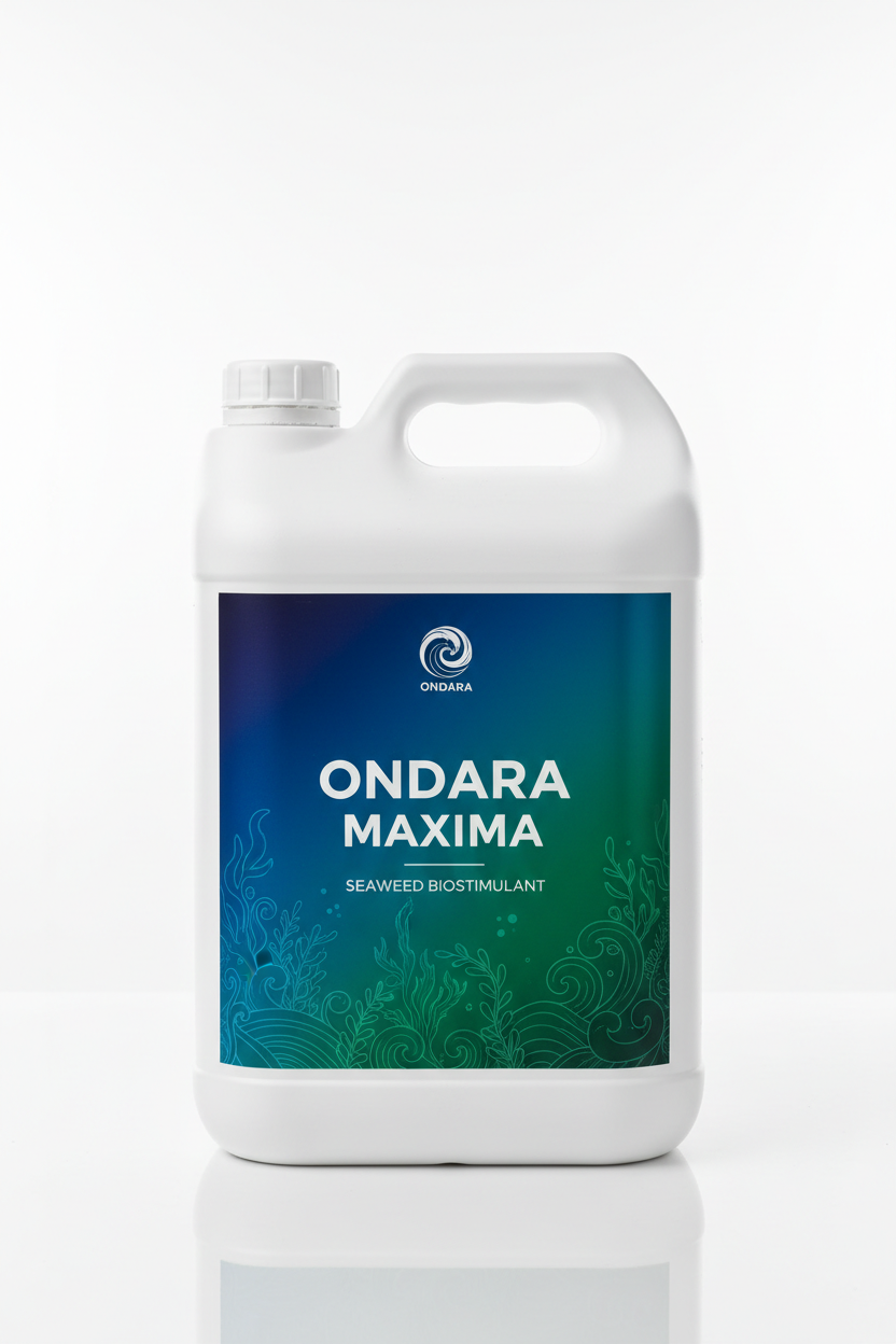 Ondara Maxima — Algas que estimulan el desarrollo desde el inicio