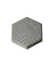 Panot Hexagonal Laguardia Relieve de hormigón, pavimento con relieve floral para aceras y patios - Vetonek