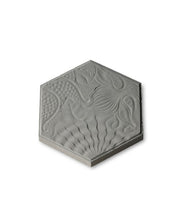 Panot Hexagonal Laguardia Relieve de hormigón, pavimento con relieve floral para aceras y patios - Vetonek