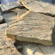 Planchoncillo Amarillo Vetonek