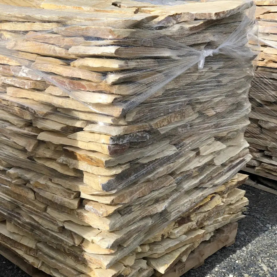 Planchoncillo Amarillo Vetonek