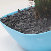 Grava Pizarra Decorativa - Vetonek