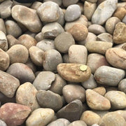 River Pebble Golden Gavions Natural Finish, River Pebbles, Light Colors, Bright Colors, Outdoor Decoration, Exclusive, Outdoors, Gavions, Multicolor, Gavion Wall, Gavion Walls, Wall, Stone, Garden Stone, Yellow Stones, Light Stones, Hard Stones, Exclusive Stones, Large Stones, Brown Stones, Gavion Size, Top Sales, Garden Fences