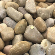 River Pebble Golden Gavions Natural Finish, River Pebbles, Light Colors, Bright Colors, Outdoor Decoration, Exclusive, Outdoors, Gavions, Multicolor, Gavion Wall, Gavion Walls, Wall, Stone, Garden Stone, Yellow Stones, Light Stones, Hard Stones, Exclusive Stones, Large Stones, Brown Stones, Gavion Size, Top Sales, Garden Fences
