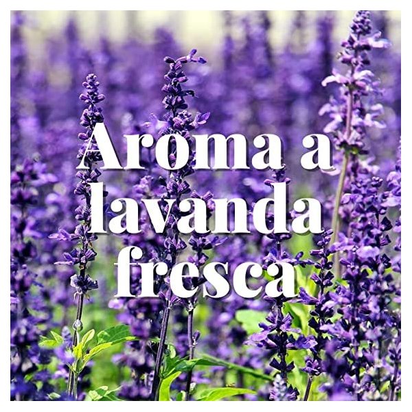 Pinzas antipolillas Orion con aroma a lavanda - Pack 2 uds Vetonek