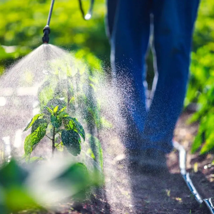 Protector Plantas Humedades - Vetonek