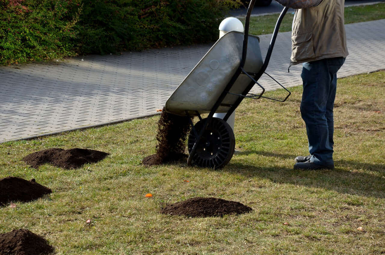 Recebo para Césped Ecológico