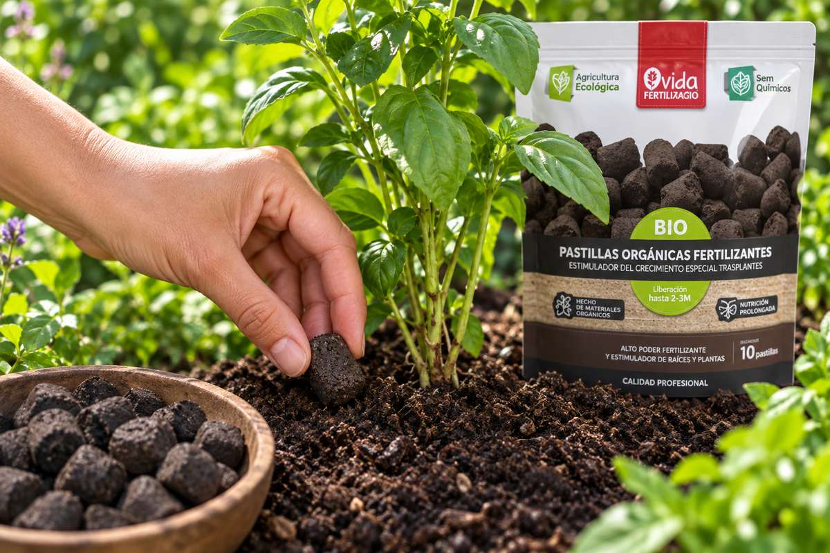 Pastillas orgánicas fertilizantes BIO · 10 pastillas para trasplantes