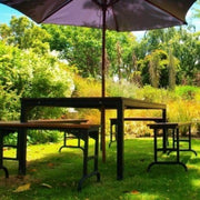 Semillas para césped especializadas por uso y zona - Vetonek