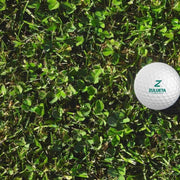 Semillas para césped especializadas por uso y zona - Vetonek