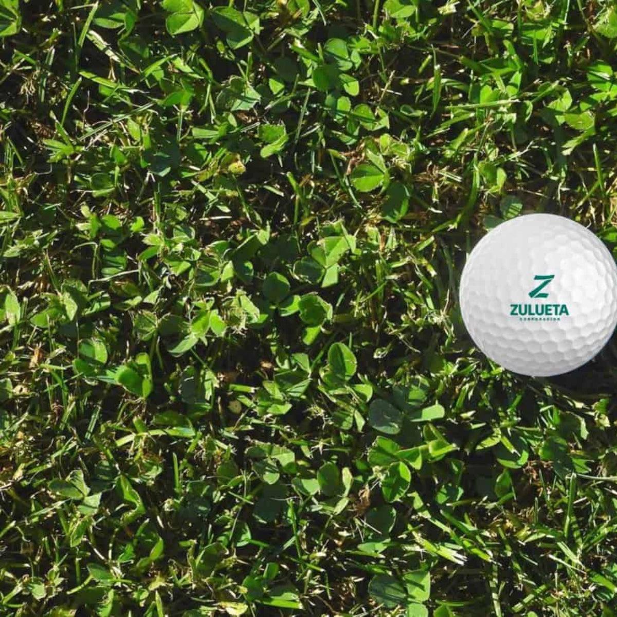 Semillas para césped especializadas por uso y zona - Vetonek