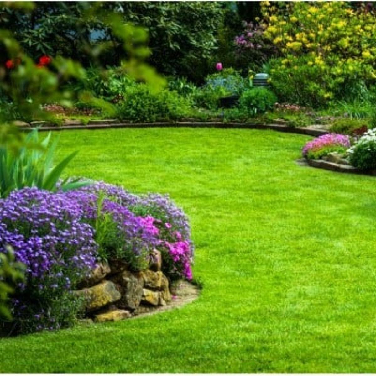 Semillas para césped especializadas por uso y zona - Vetonek