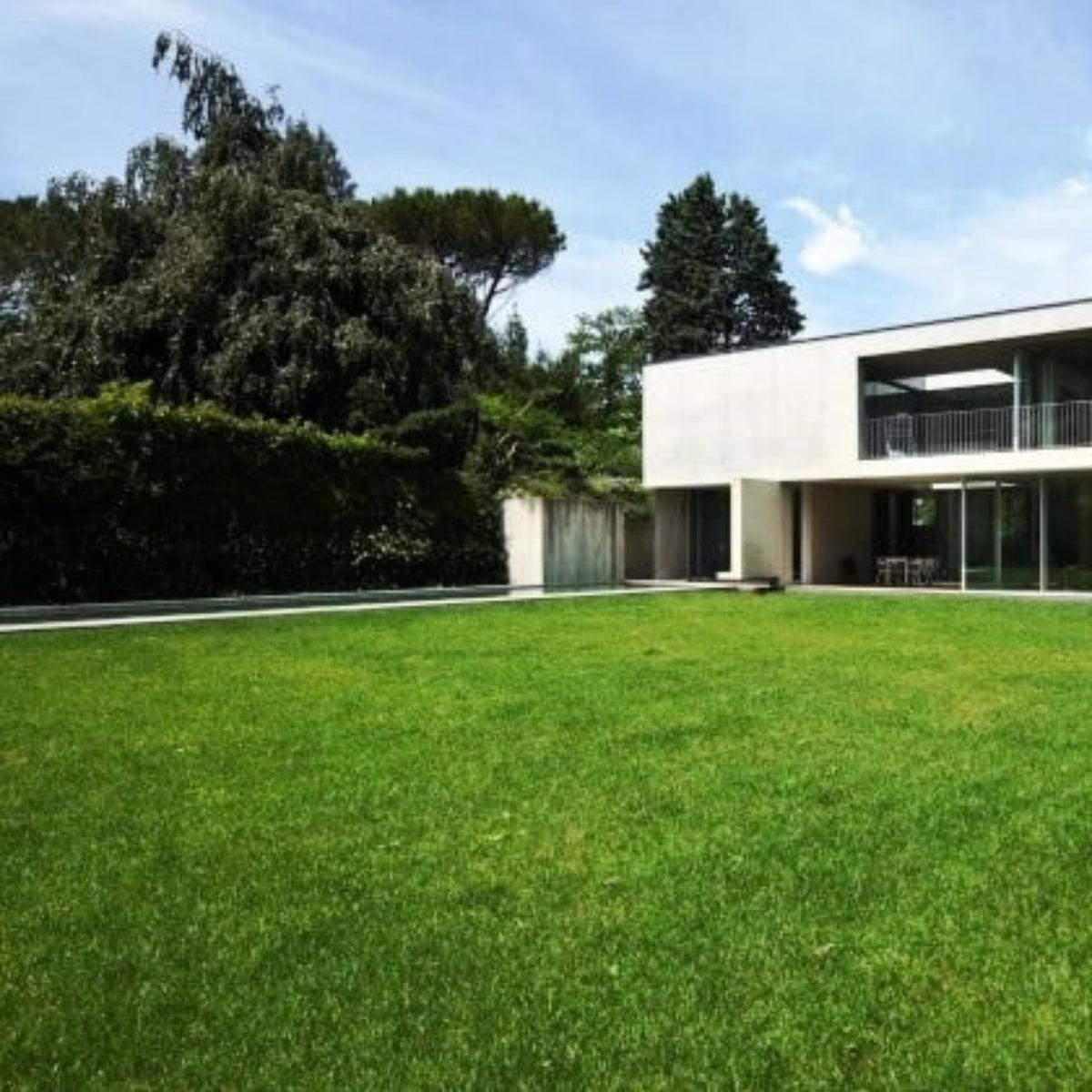 Semillas para césped especializadas por uso y zona - Vetonek