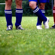 Semillas para césped especializadas por uso y zona - Vetonek