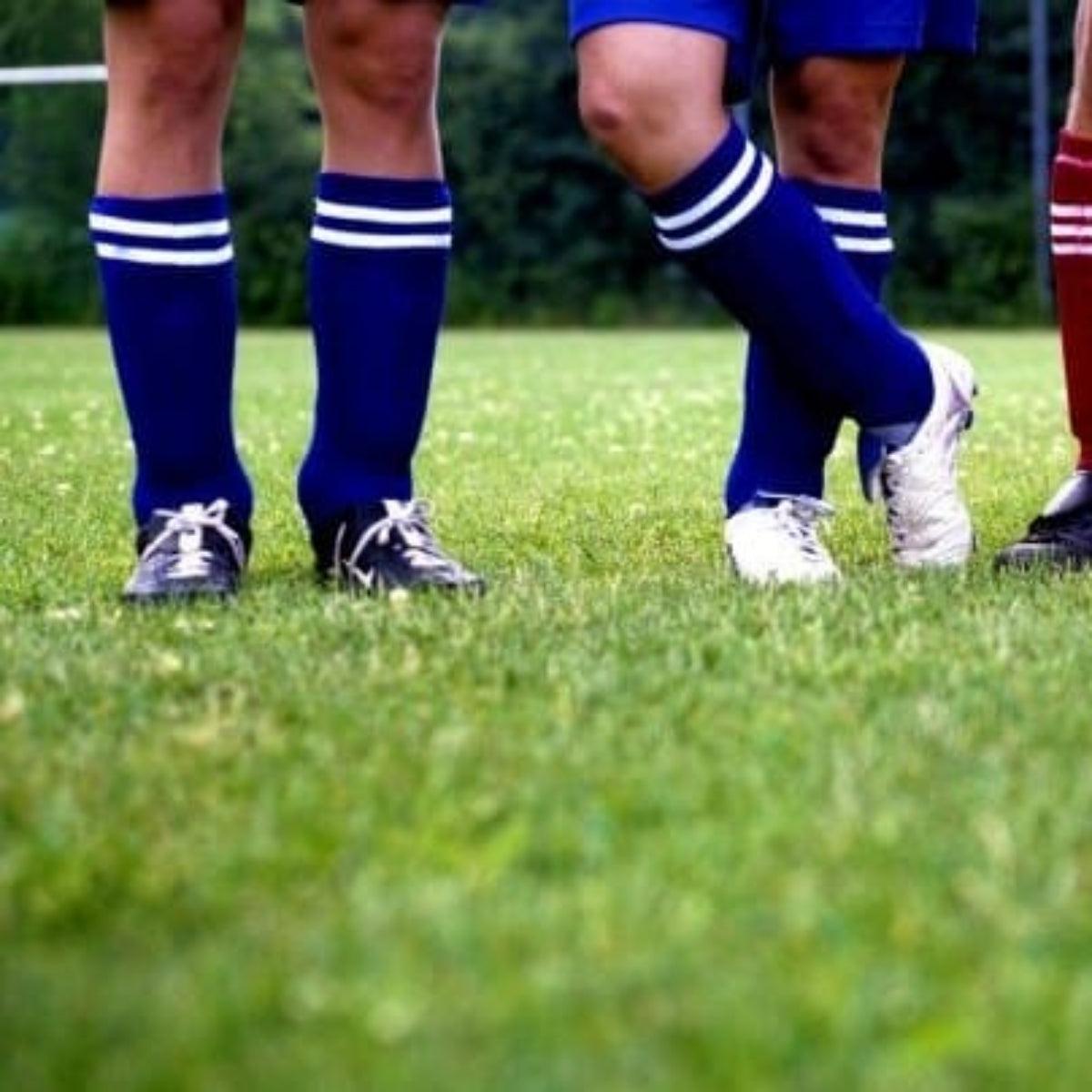 Semillas para césped especializadas por uso y zona - Vetonek