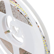 Tira LEDs 10mm 240xSMD2835/M 18W/M 1800Lm/M 24VDC IP20 6000ºK 5 Metros — Vetonek (3)