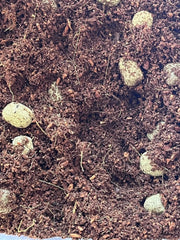 Sustrato Hidropónico | 60% Fibra Coco y 40% Arcilla expandida Vetonek