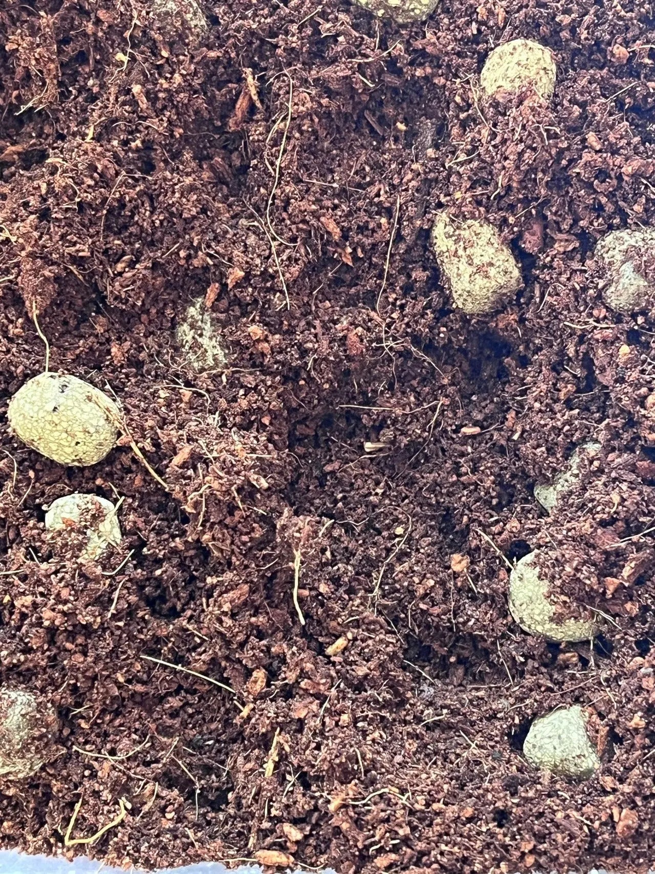 Sustrato Hidropónico | 60% Fibra Coco y 40% Arcilla expandida Vetonek