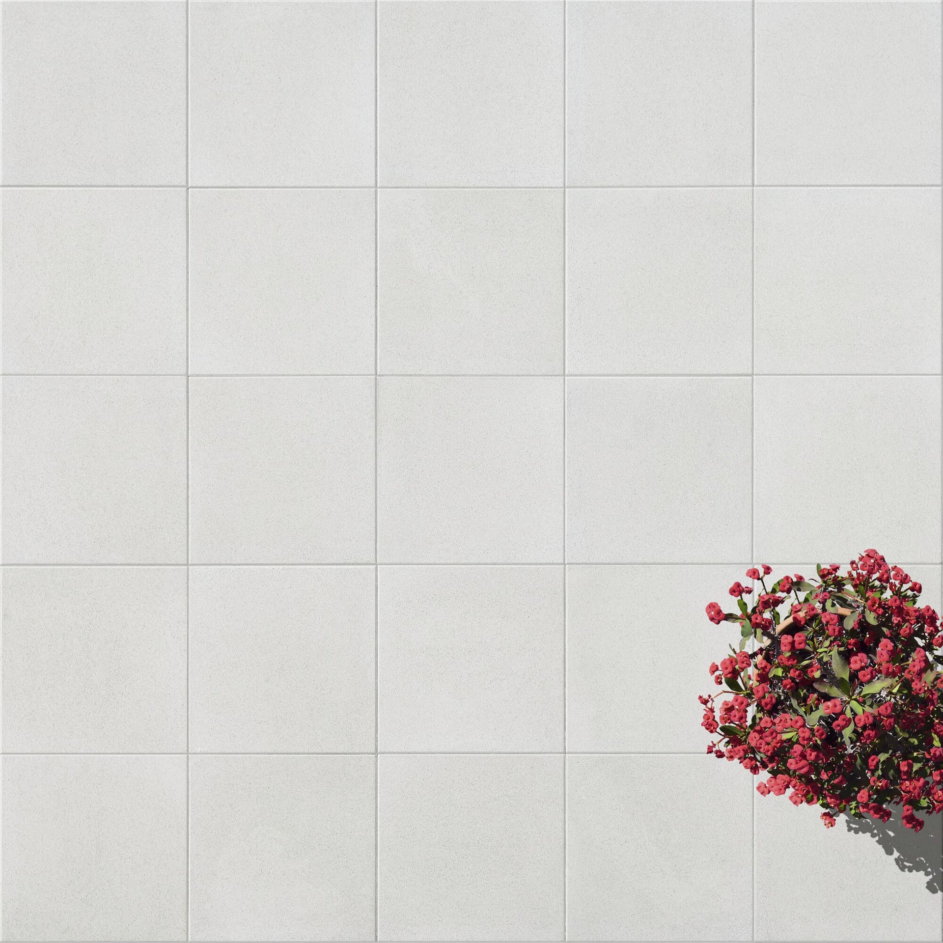 TESSERA Basic - Vetonek