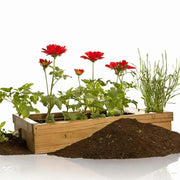 Tierra Abonada Económica - Vetonek