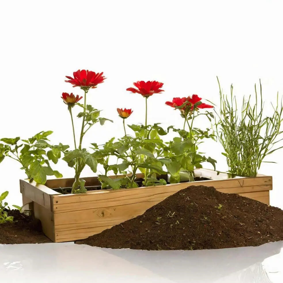 Tierra Abonada Económica - Vetonek