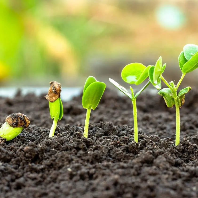 Tierra Vegetal Abonada - Vetonek