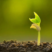 Tierra Vegetal Abonada - Vetonek