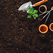 Tierra Plantas Flervi - Vetonek