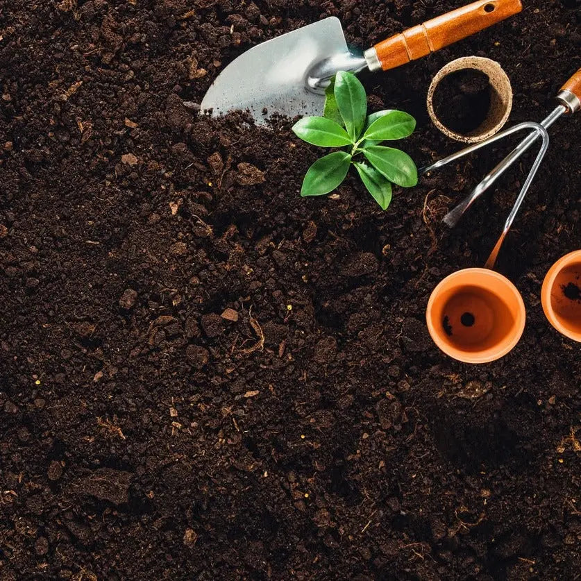 Tierra Plantas Flervi - Vetonek